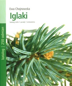 Iglaki  