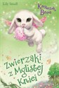 Zwierzaki z Mglistej Kniei Króliczek Becia Polish bookstore