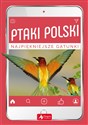 Ptaki Polski  