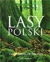 Lasy Polski in polish