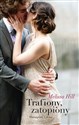 Trafiony, zatopiony pl online bookstore
