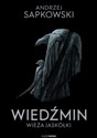 Wiedźmin 6 - Wieża Jaskółki  