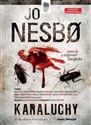 [Audiobook] Karaluchy - Jo Nesbo in polish