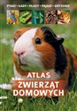 Atlas zwierząt domowych / SBM chicago polish bookstore