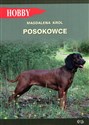 Posokowce polish usa