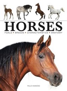 Horses chicago polish bookstore