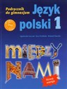 Między nami 1 Język polski Podręcznik Gimnazjum to buy in USA