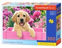 Puzzle Labrador Puppy in Pink Box 300 - 