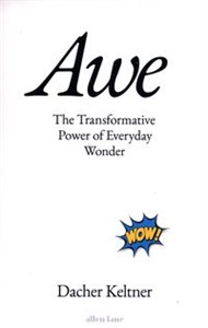 Awe The Transformative Power of Everyday Wonder Polish Books Canada