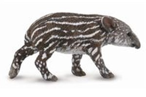 Tapir cielę bairda Canada Bookstore