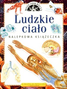 Ludzkie ciało Moje odkrycia 65 nalepek do przyklejania i odklejania Polish Books Canada