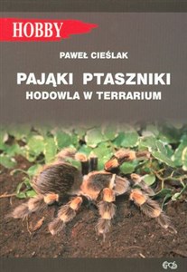 Pająki ptaszniki hodowla w terrarium  