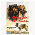 Owczarki kaukaskie polish usa