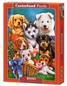 Puzzle 1000 Puppies - 