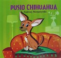 Pusio chihuahua in polish