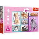 Puzzle Słodkie kociaki 60 - 