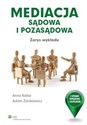 Mediacja sądowa i pozasądowa Zarys wykładu polish usa