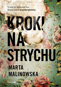 Kroki na strychu polish books in canada