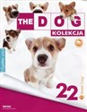 Dog Kolekcja 22 Corgi + maskotka in polish