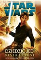 Star Wars Dziedzic Jedi pl online bookstore