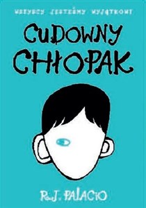 Cudowny chłopak chicago polish bookstore