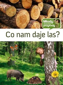 Co nam daje las  