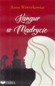 Kangur w Madrycie to buy in Canada