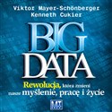 Big Data Rewolucja, która zmieni nasze myślenie, pracę i życie in polish