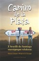 Camino de la Plata Z Sewilli do Santiago starożytnym szlakiem - Daria Urban, Wojciech Kostyk chicago polish bookstore