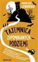 Tajemnica zapomnianych podziemi  