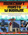 MineCraft Miasto w budowie Niezależny i nieoficjalny przewodnik -  to buy in Canada