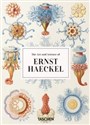 The Art and Science of Ernst Haeckel - Rainer Willmann, Julia Voss