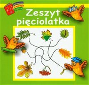 Zeszyt pięciolatka 