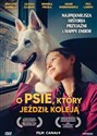 O psie, który jeździł koleją DVD  - Polish Bookstore USA
