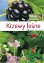 Krzewy leśne Polish Books Canada