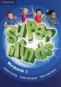 Super Minds Wordcards 1 Pack of 90  