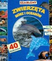 Szablony Zwierzęta mórz i oceanów z 40 szablonami  books in polish