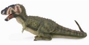 Dinozaur Daspletosaurus L online polish bookstore