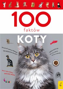 Koty 100 faktów polish usa