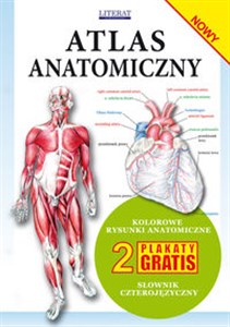 Atlas anatomiczny   