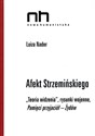 Afekt Strzemińskiego. Teoria widzenia Polish bookstore