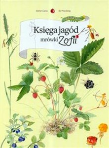 Księga jagód mrówki Zofii - Polish Bookstore USA