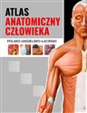 Atlas anatomiczny człowieka polsko - angielsko - łaciński - Opracowanie Zbiorowe