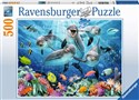 Puzzle Delfiny 500 - 