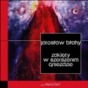 Zaklęty w szerszenim gnieździe Polish bookstore