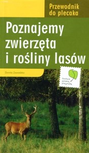 Poznajemy zwierzęta i rośliny lasów  