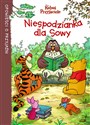 Niespodzianka dla Sowy online polish bookstore