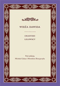 Wieża Dawida Chasydzi lelowscy pl online bookstore