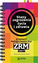 Stany zagrożenia życia i zdrowia Schematy postępowania dla ZRM typu P -  pl online bookstore