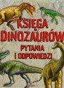 Księga dinozaurów Pytania i odpowiedzi books in polish